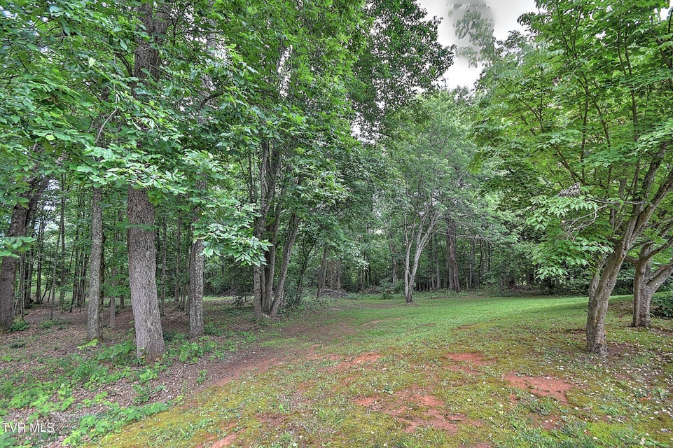 Photo #51: 145 Zeb Grindstaff Road