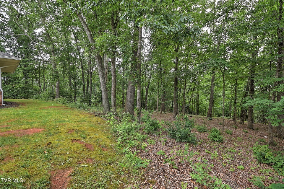 Photo #53: 145 Zeb Grindstaff Road