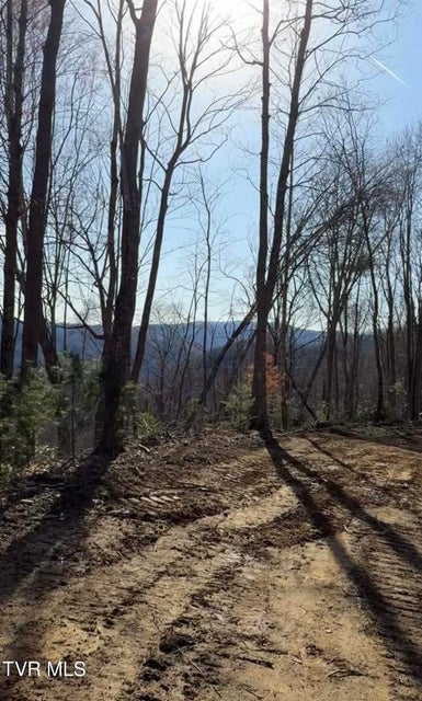 Photo #3: Tbd Heaton Branch Road