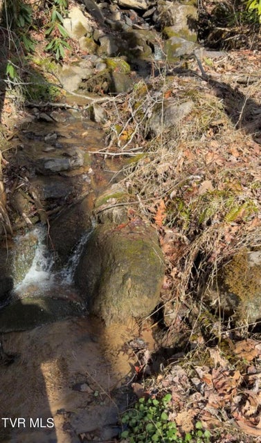 Photo #6: Tbd Heaton Branch Road