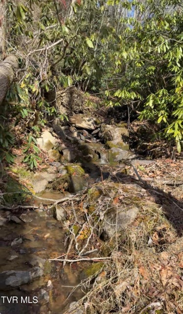 Photo #7: Tbd Heaton Branch Road