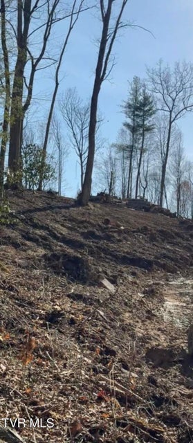 Photo #8: Tbd Heaton Branch Road