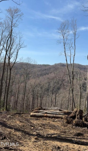 Photo #9: Tbd Heaton Branch Road