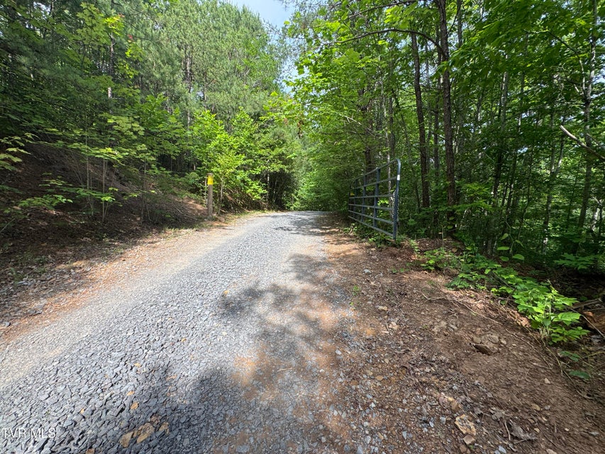 Photo #40: 1555 Hamner Hollow Road