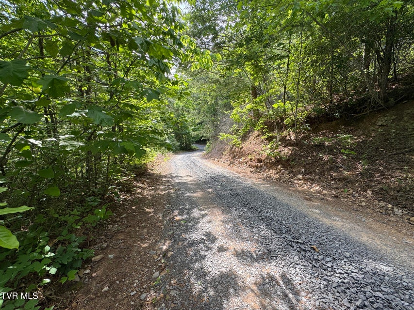 Photo #41: 1555 Hamner Hollow Road