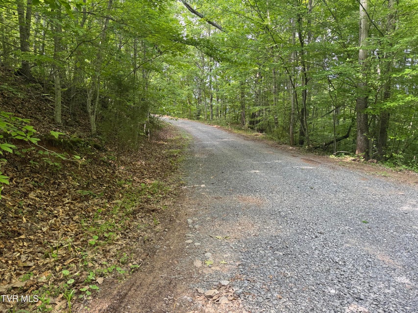 Photo #42: 1555 Hamner Hollow Road