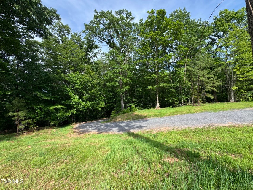 Photo #35: 1555 Hamner Hollow Road