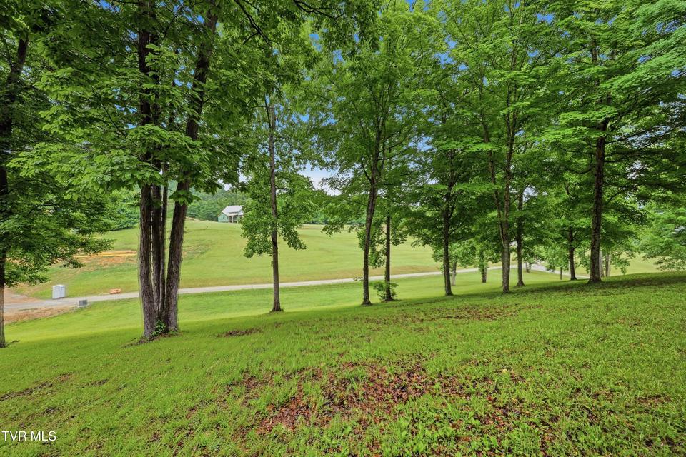 Photo #9: Lot 36 Summerfield Drive