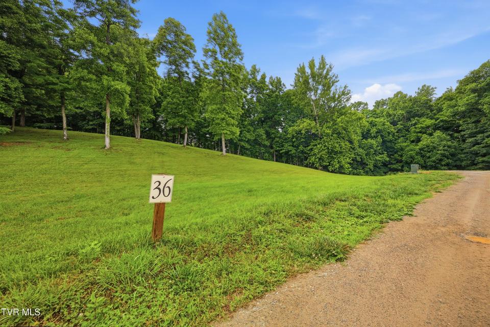 Photo #11: Lot 36 Summerfield Drive