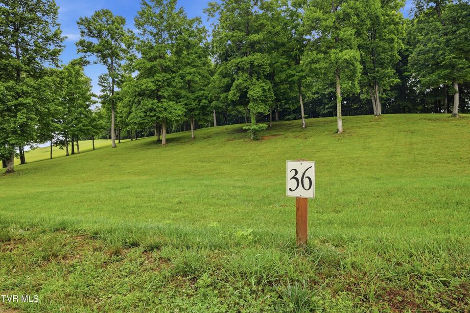 Photo #12: Lot 36 Summerfield Drive