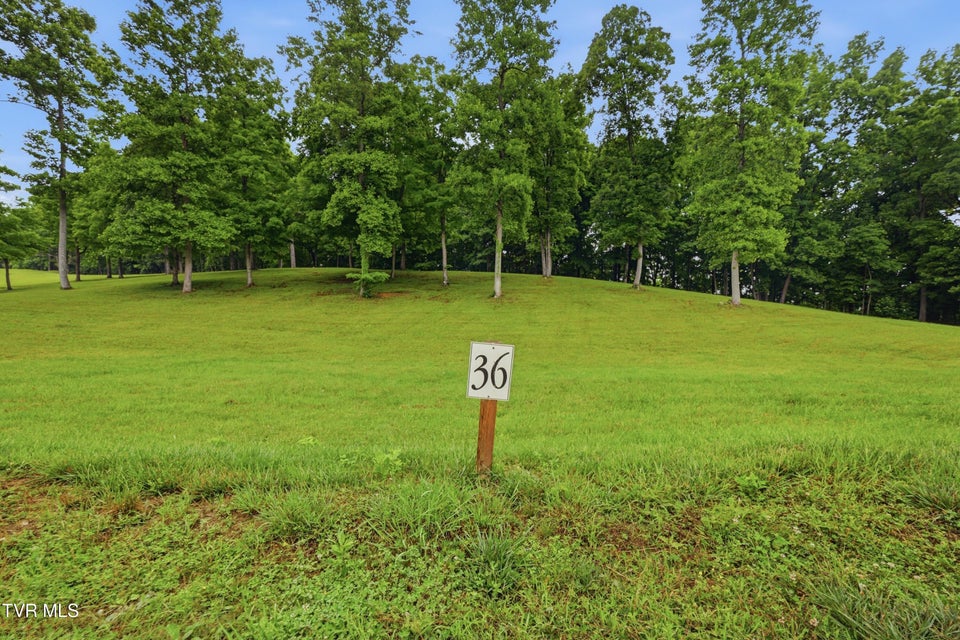 Photo #3: Lot 36 Summerfield Drive