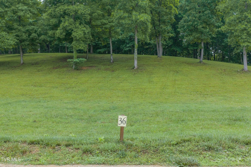 Photo #13: Lot 36 Summerfield Drive