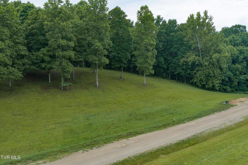 Photo #15: Lot 36 Summerfield Drive