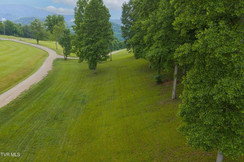 Photo #18: Lot 36 Summerfield Drive