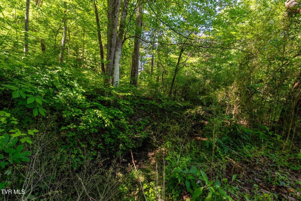 Photo #14: 1050 Butcher Valley Road