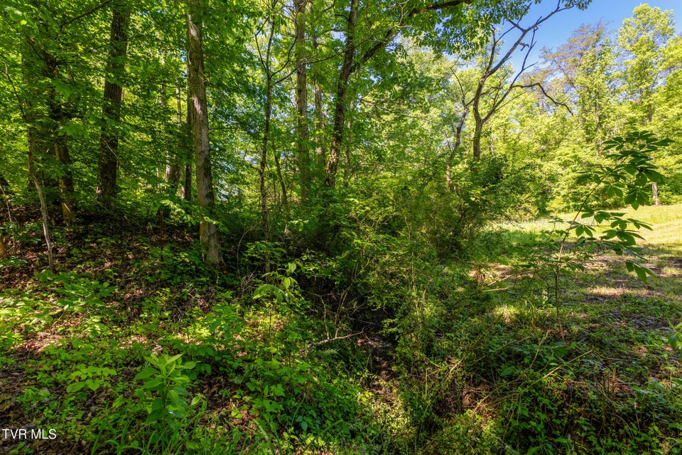 Photo #15: 1050 Butcher Valley Road