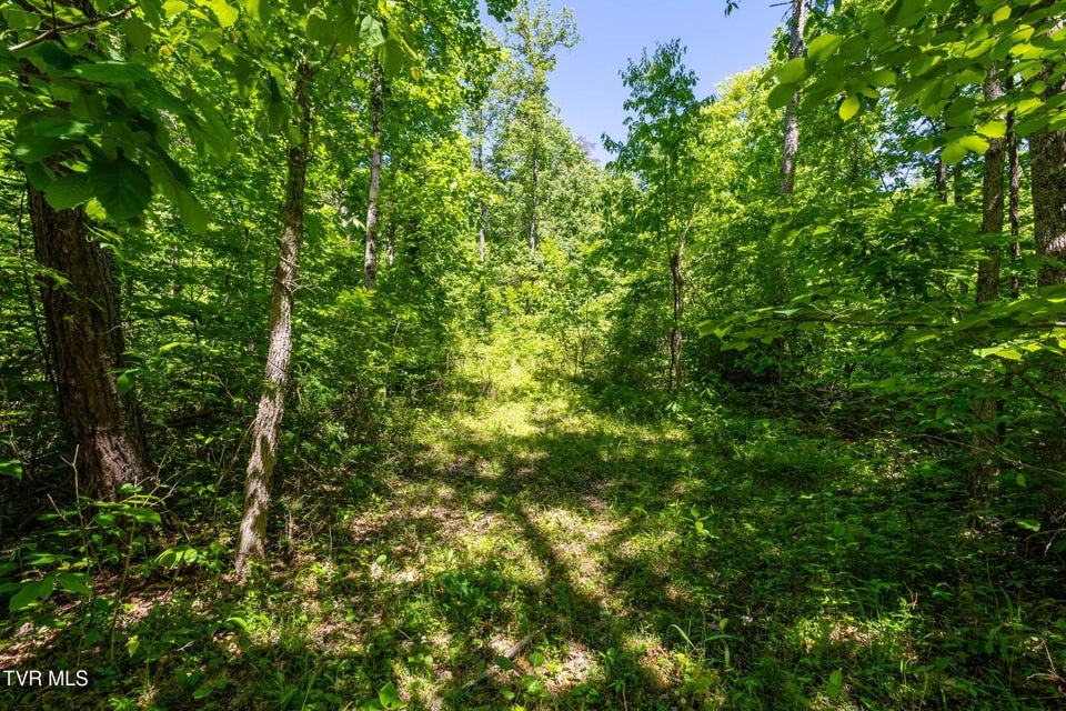Photo #37: 1050 Butcher Valley Road