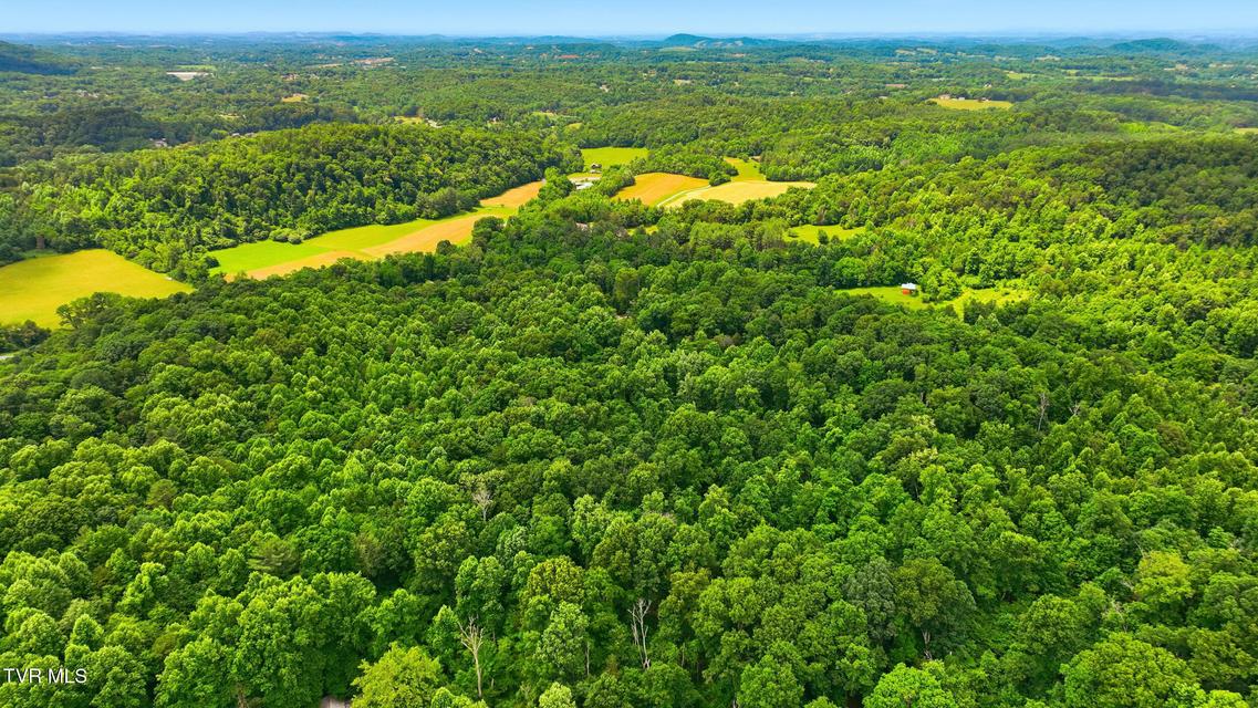 Photo #28: 186 Raspberry Ridge Road