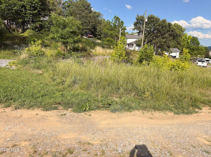 Photo #8: 320 Samuel Street