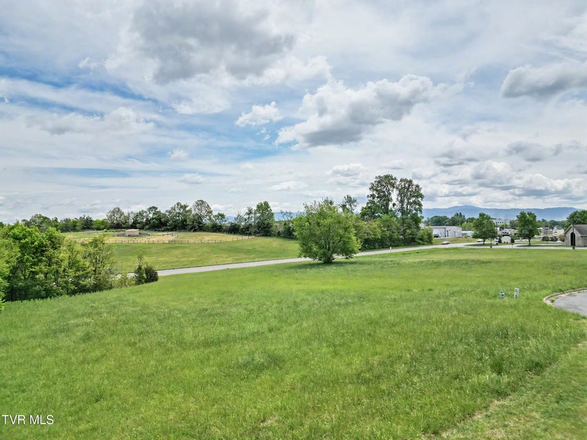 Photo #18: 1435 70 Bypass