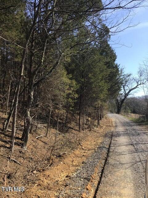 Photo #2: 8.24 Ac Andrew Johnson 