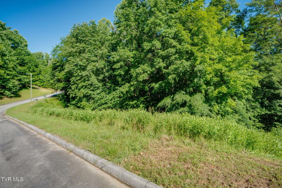 Photo #17: 160 & 170 Tailwater Road