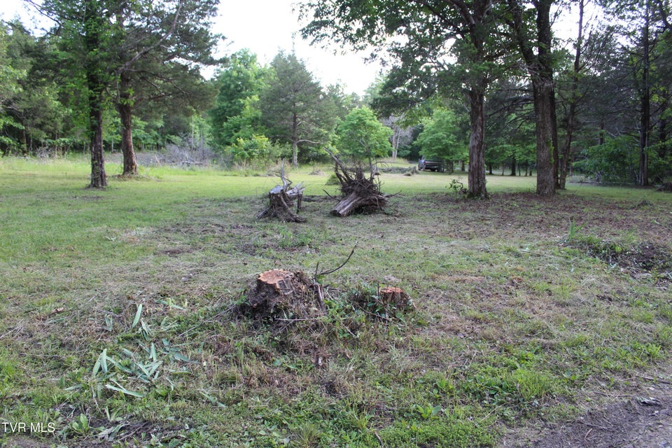 Photo #3: 755 Quince Drive