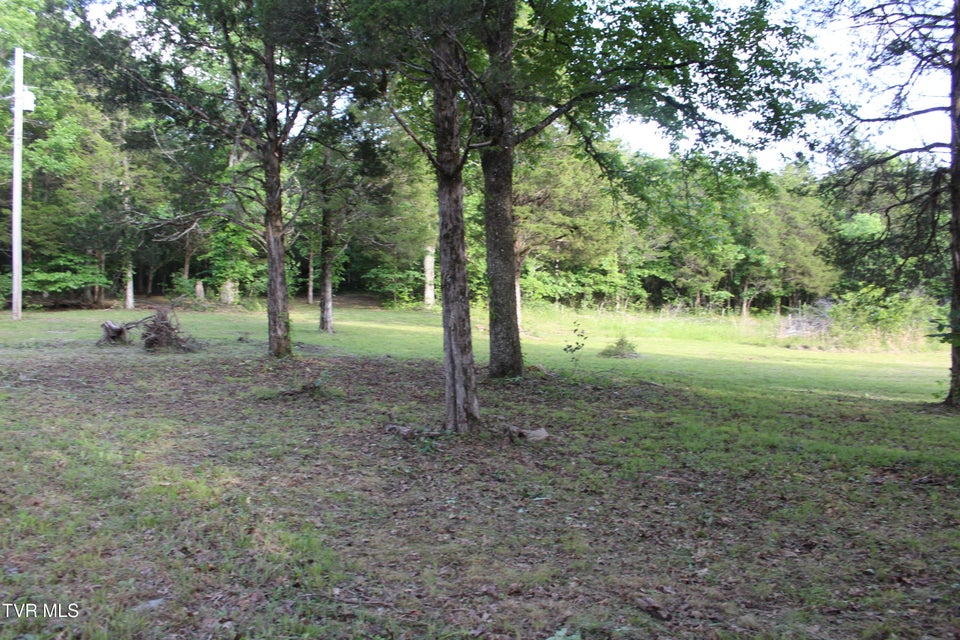Photo #11: 755 Quince Drive