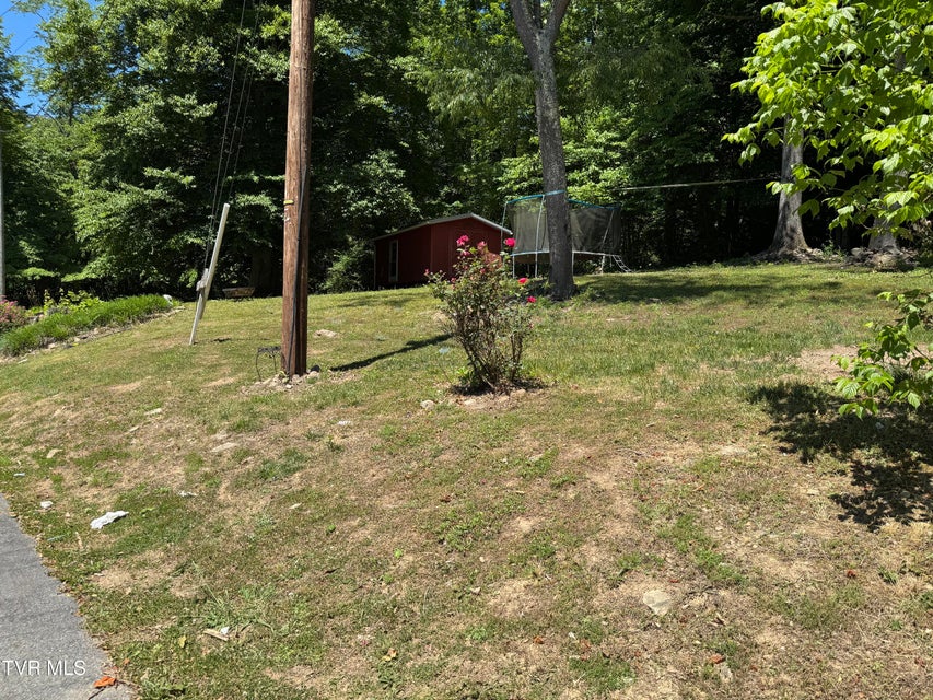 Photo #7: 213 Yose Drive