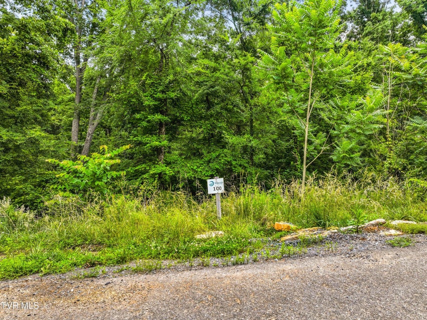 Photo #6: Lot 100 Ridgeline Trail