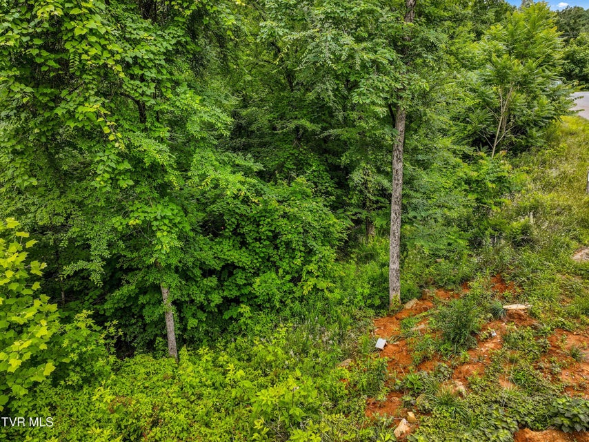 Photo #8: Lot 100 Ridgeline Trail