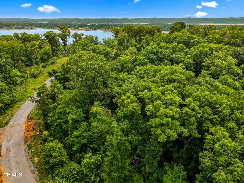 Photo #10: Lot 100 Ridgeline Trail