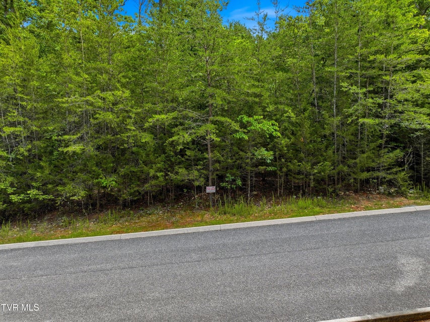 Photo #8: Lot 110 Eagles Ridge