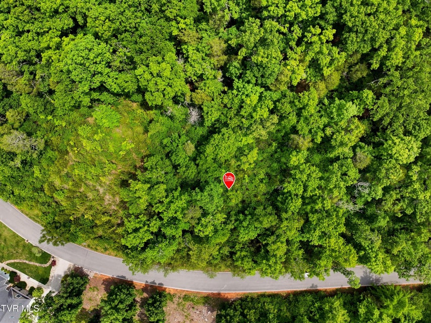 Photo #3: Lot 110 Eagles Ridge