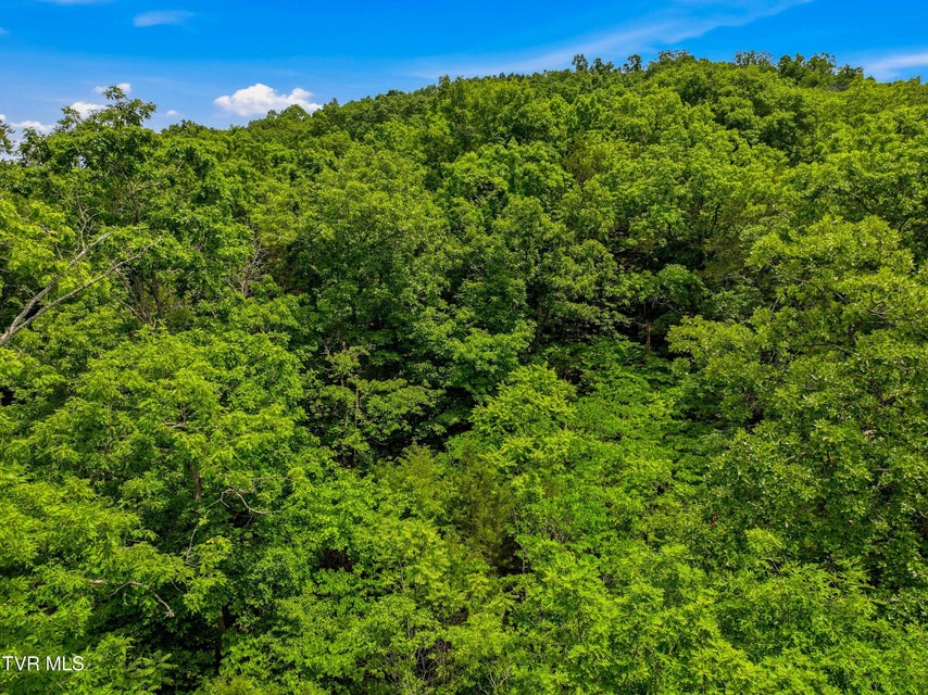 Photo #7: Lot 110 Eagles Ridge