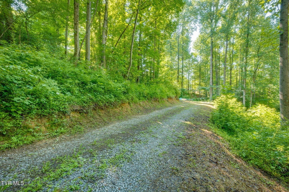 Photo #11: 134 Thomas And Webb Road
