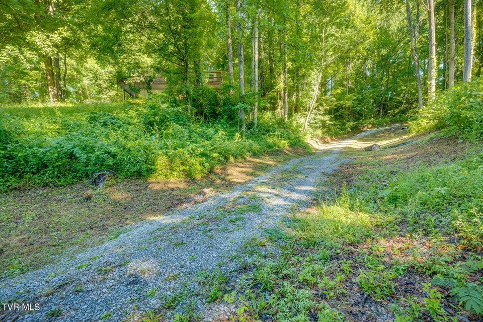 Photo #9: 134 Thomas And Webb Road