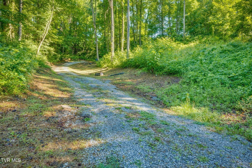 Photo #8: 134 Thomas And Webb Road