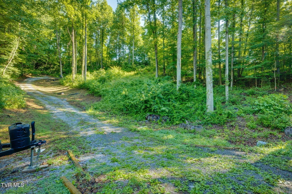 Photo #7: 134 Thomas And Webb Road
