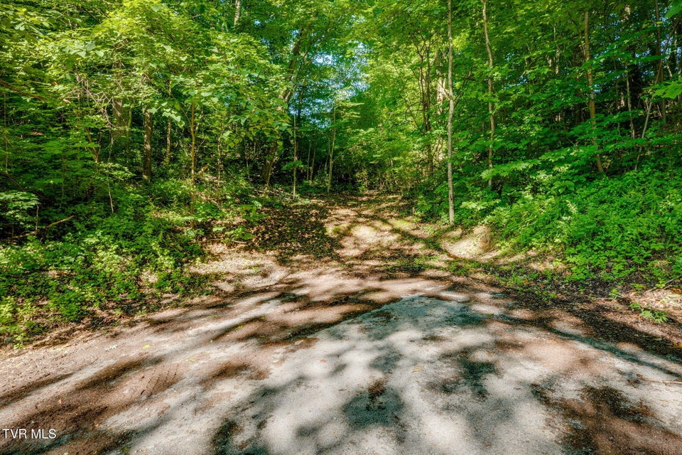 Photo #6: 134 Thomas And Webb Road