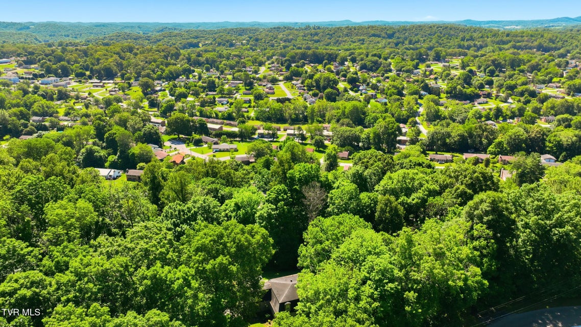 Photo #46: 901 Beechwood Drive