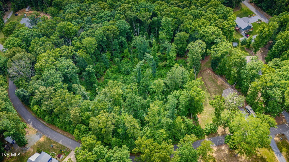 Photo #33: 236 Allenwood Drive