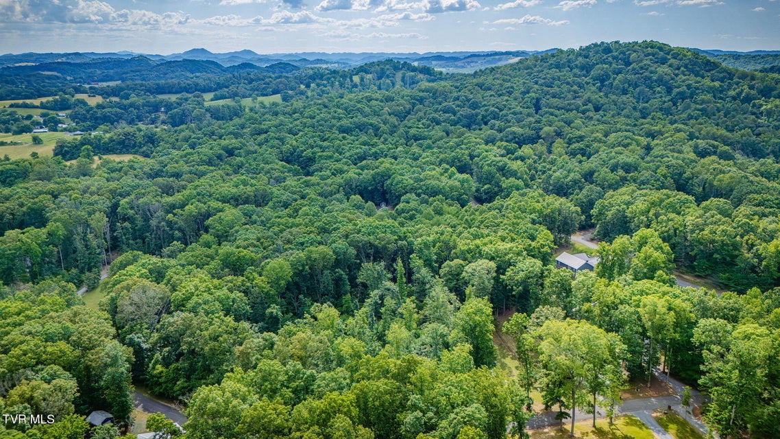 Photo #34: 236 Allenwood Drive