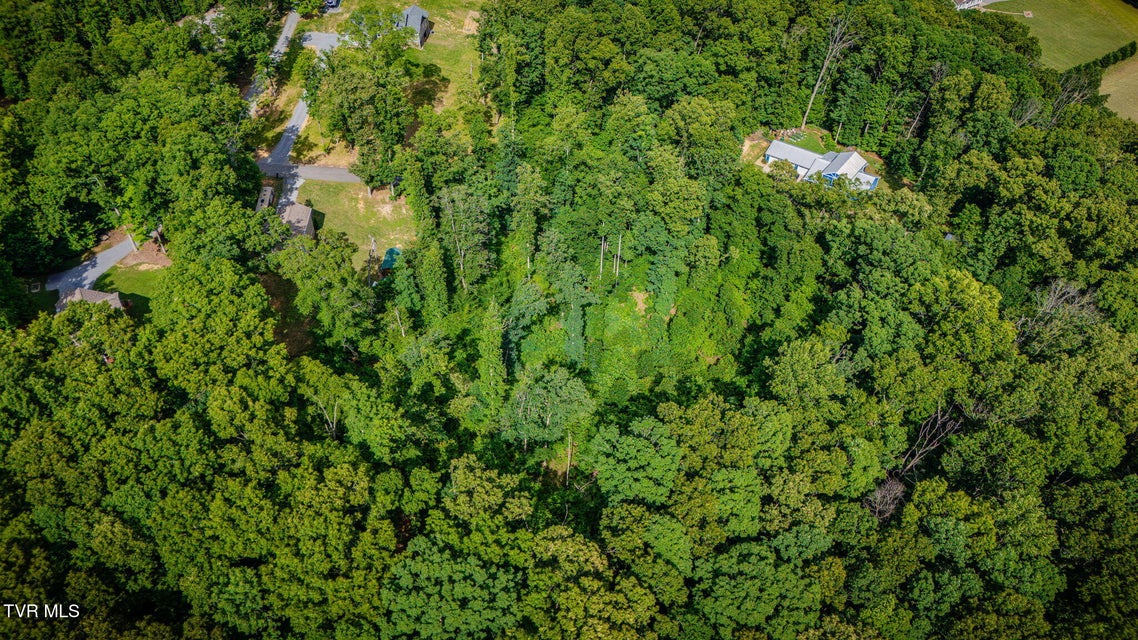 Photo #36: 236 Allenwood Drive
