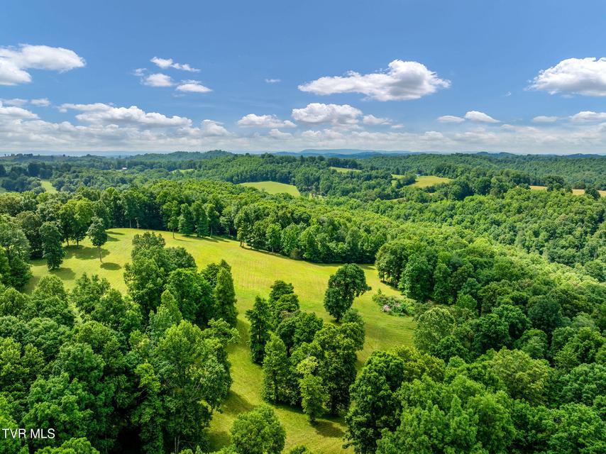 Photo #14: 393 Holt Ridge Road