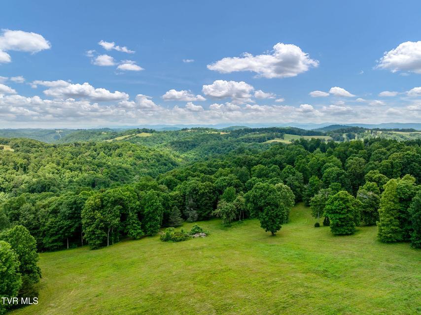 Photo #16: 393 Holt Ridge Road