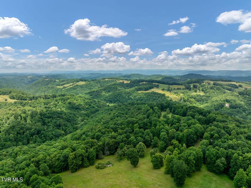 Photo #17: 393 Holt Ridge Road