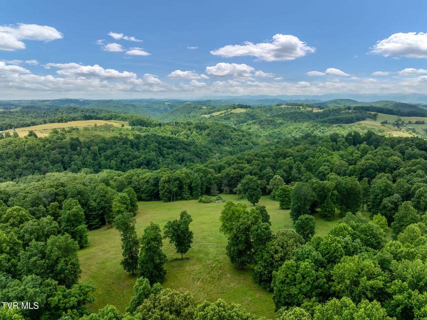 Photo #18: 393 Holt Ridge Road
