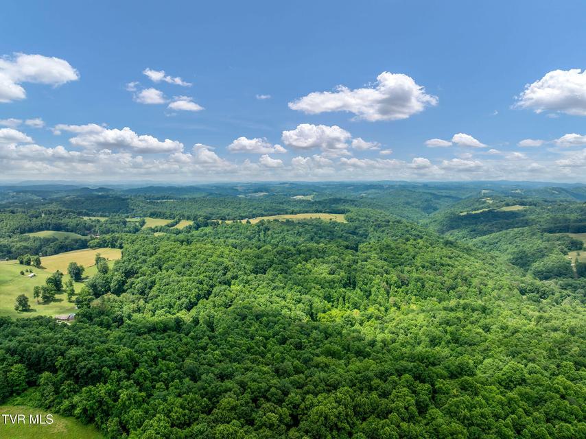 Photo #23: 393 Holt Ridge Road