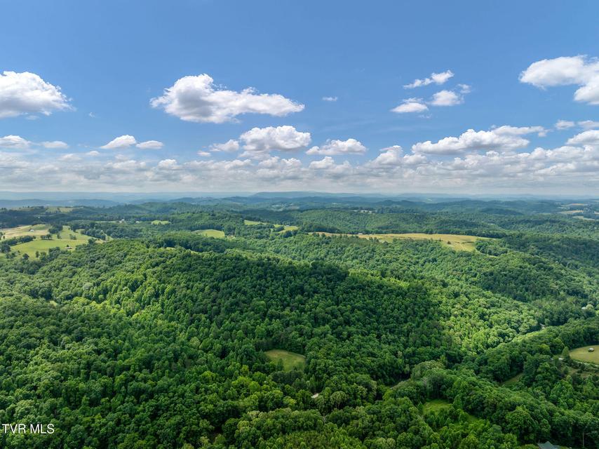 Photo #24: 393 Holt Ridge Road